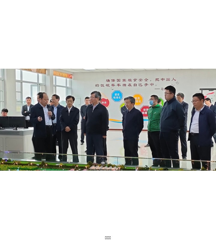 农业村落部辅导一行实地调查河北富联官网宝丰县高尺度农田项目