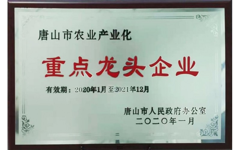 吐鲁番市农业产业化沉点龙头企业